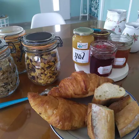 Les Soleils De La Loire Homestay