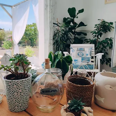 Homestay Les Soleils De La Loire Ingrandes (Maine-et-Loire)